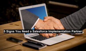 Implementation Partner